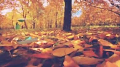 唯美秋季树林家庭相册图片展示模板视频的预览图